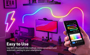 Smart Neon RGBIC Light with ChromaF. Tech