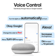 Google Home and Alexa support