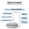 Google Home and Alexa support